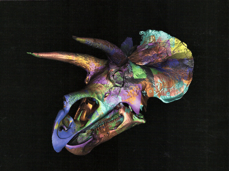 Colorful Triceratops Skull