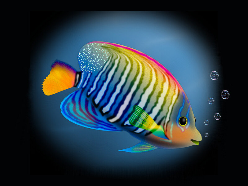 Colorful Tropical Fish — Blue, Dramatic
