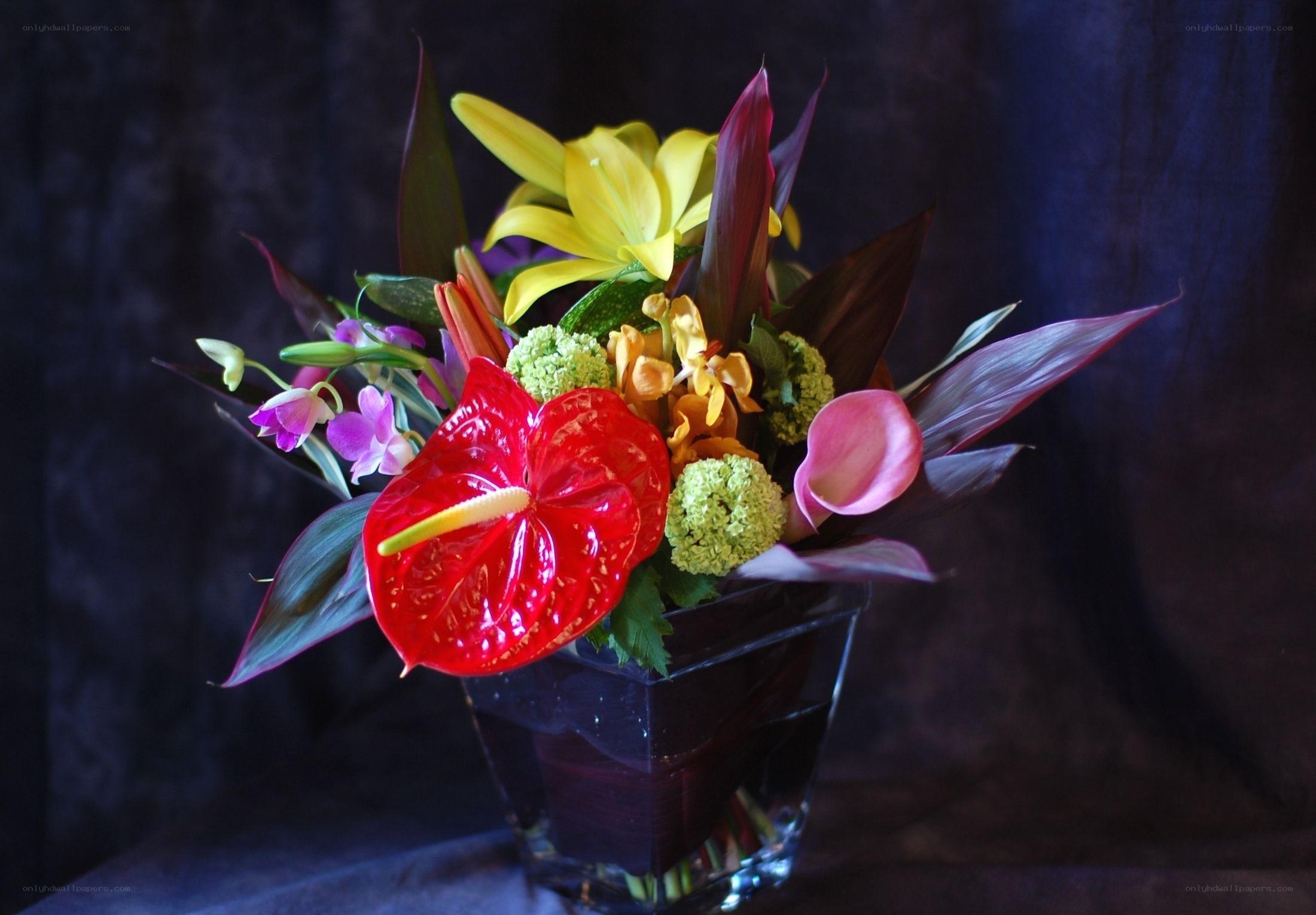 Colorful tropical flower arrangement