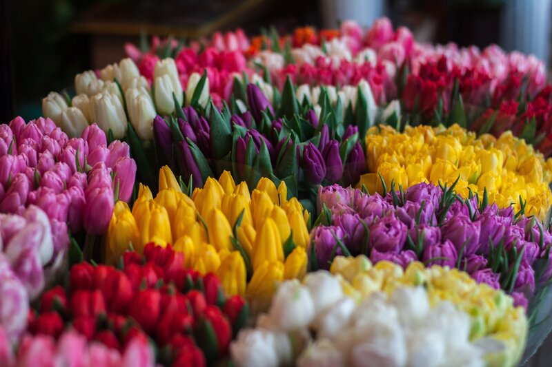 Colorful tulip arrangement