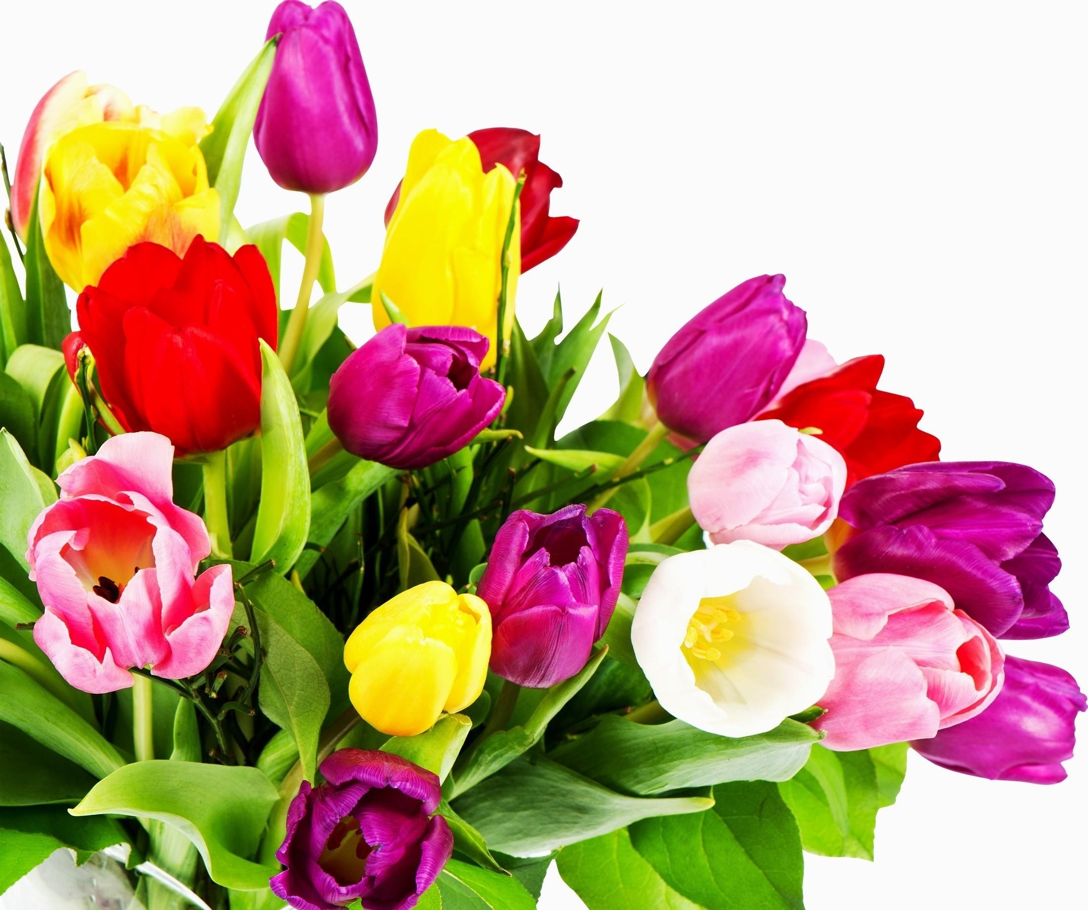 Colorful tulip bouquet