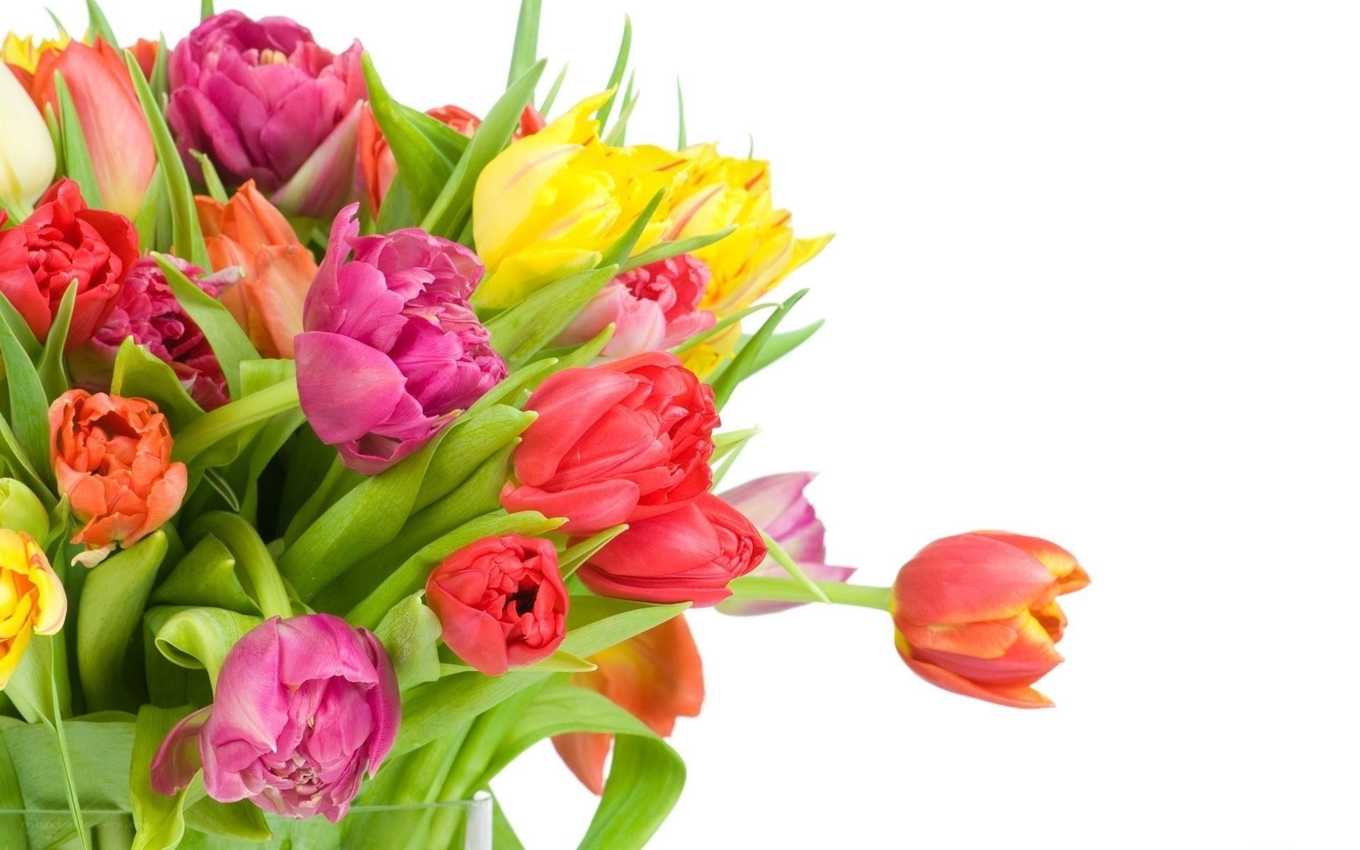 Colorful tulip bouquet