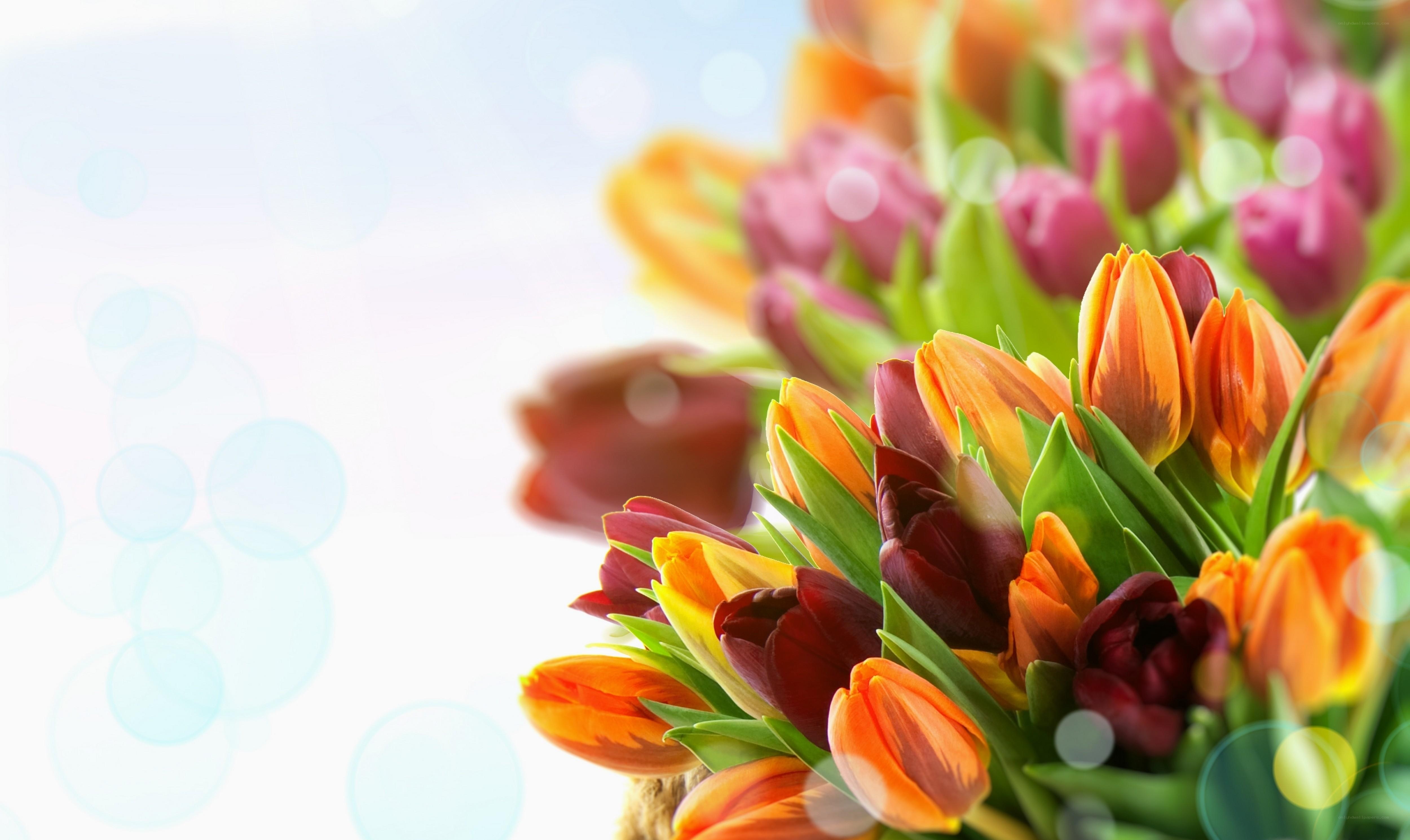 Colorful tulip bouquet