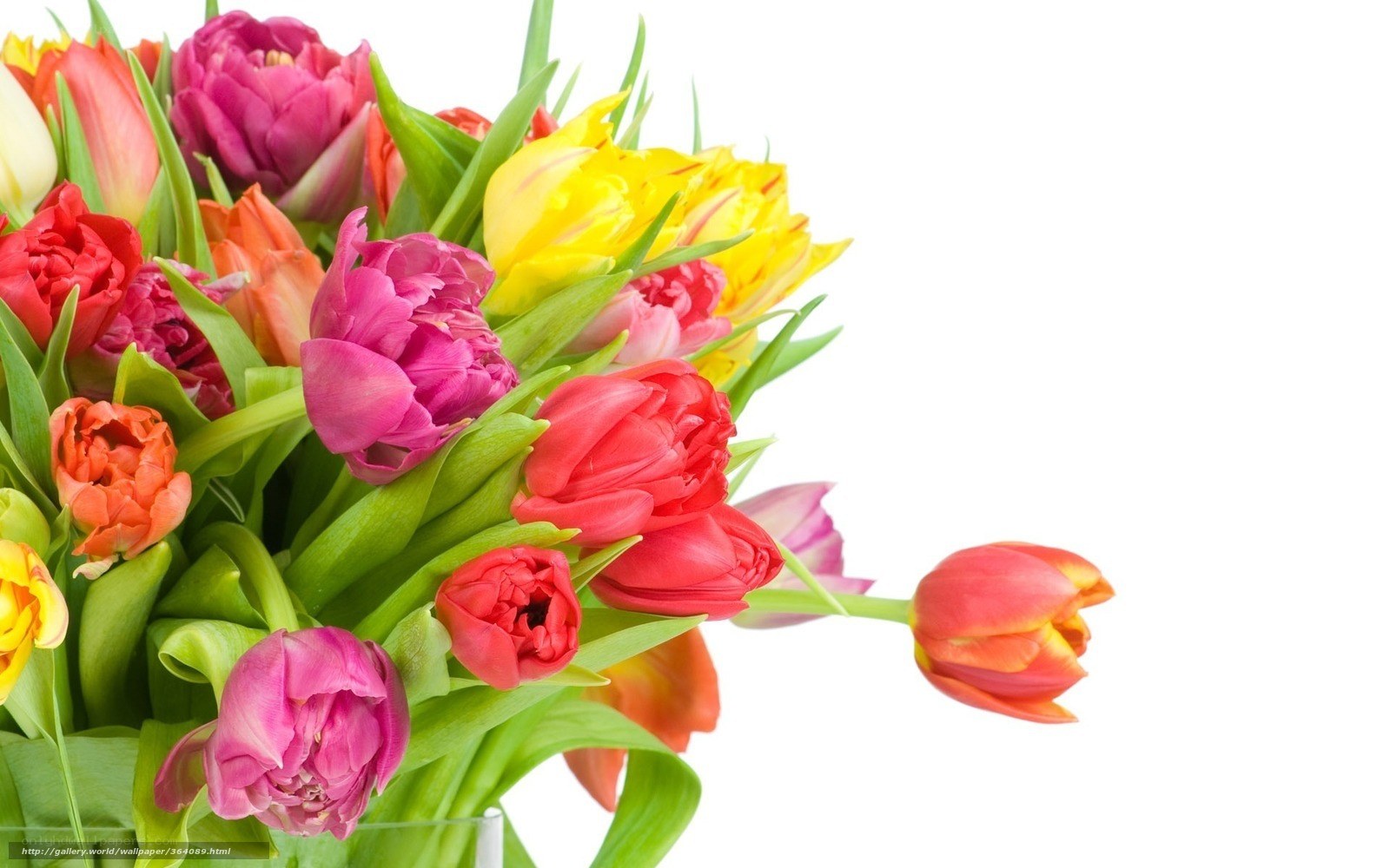 colorful tulip bouquet