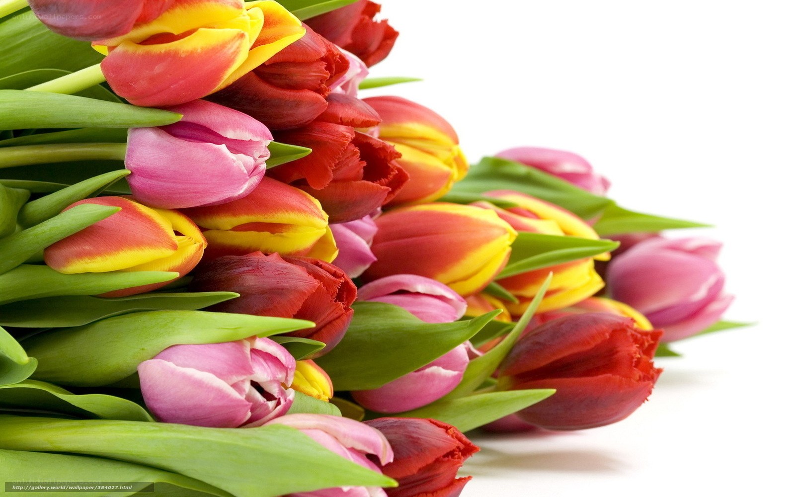 Colorful tulip bouquet