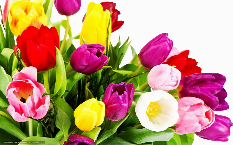 Colorful tulip bouquet