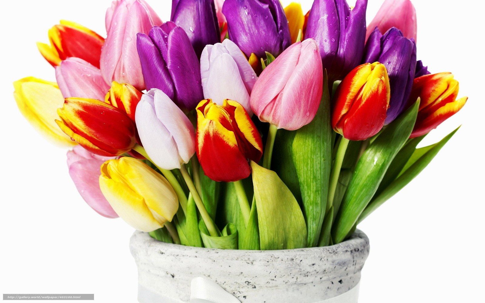 Colorful tulip bouquet