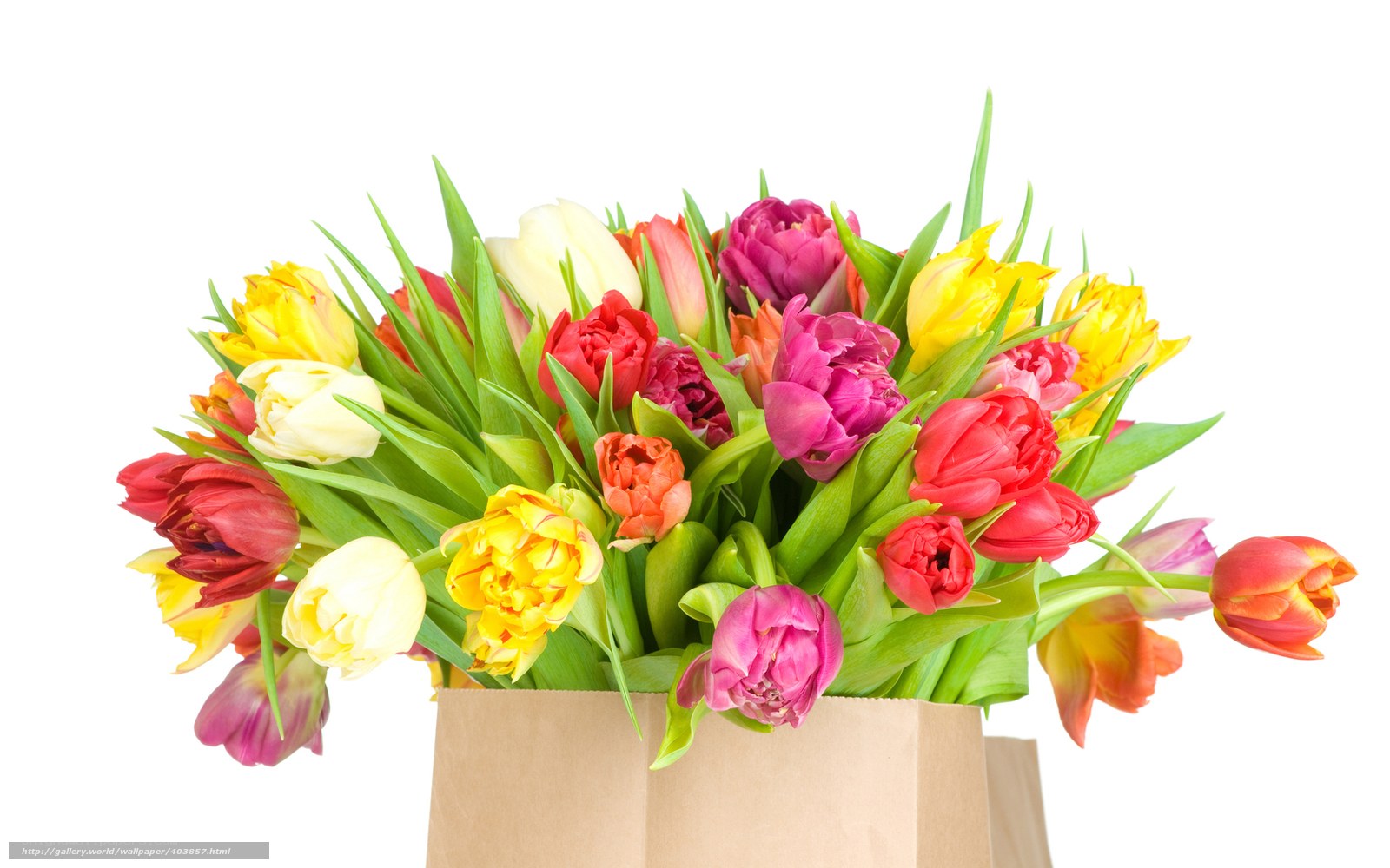 colorful tulip bouquet