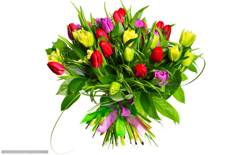 Colorful tulip bouquet