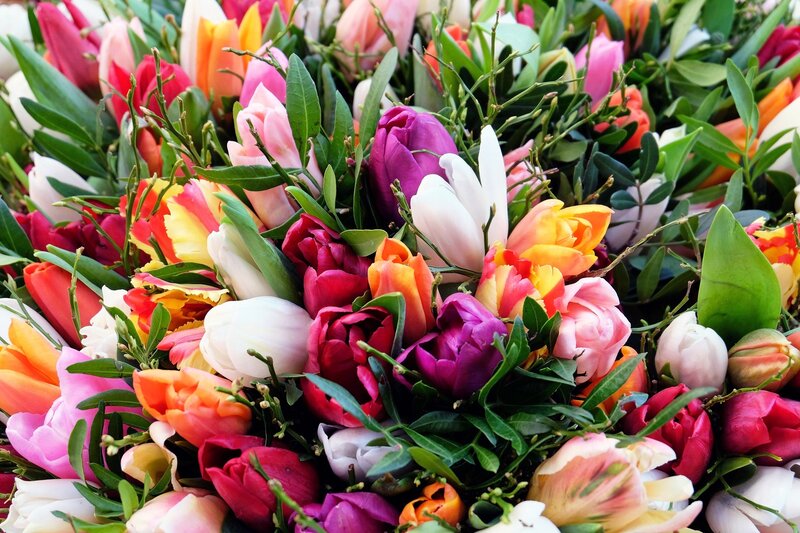 Colorful tulip bouquet