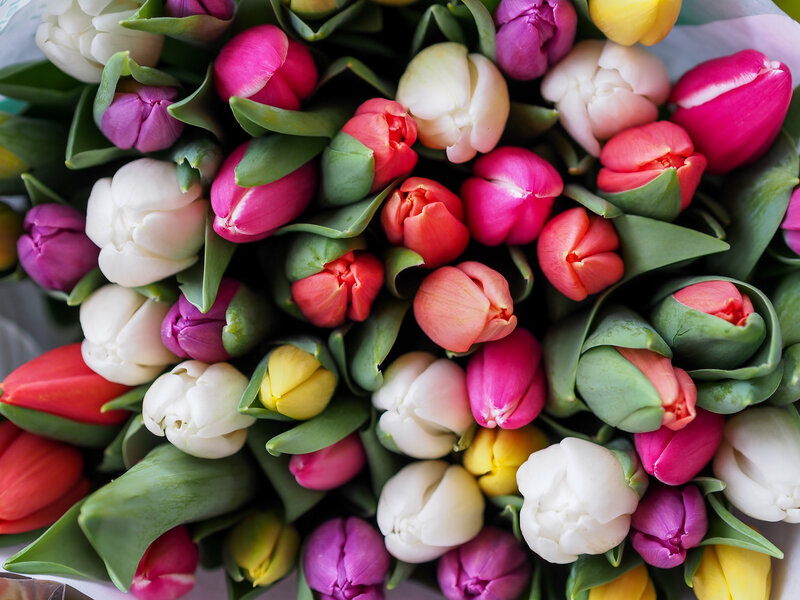 Colorful tulip bouquet