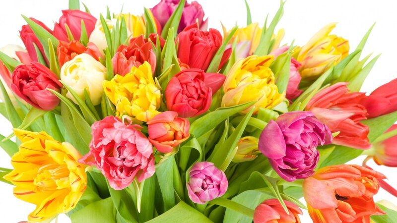Colorful tulip bouquet