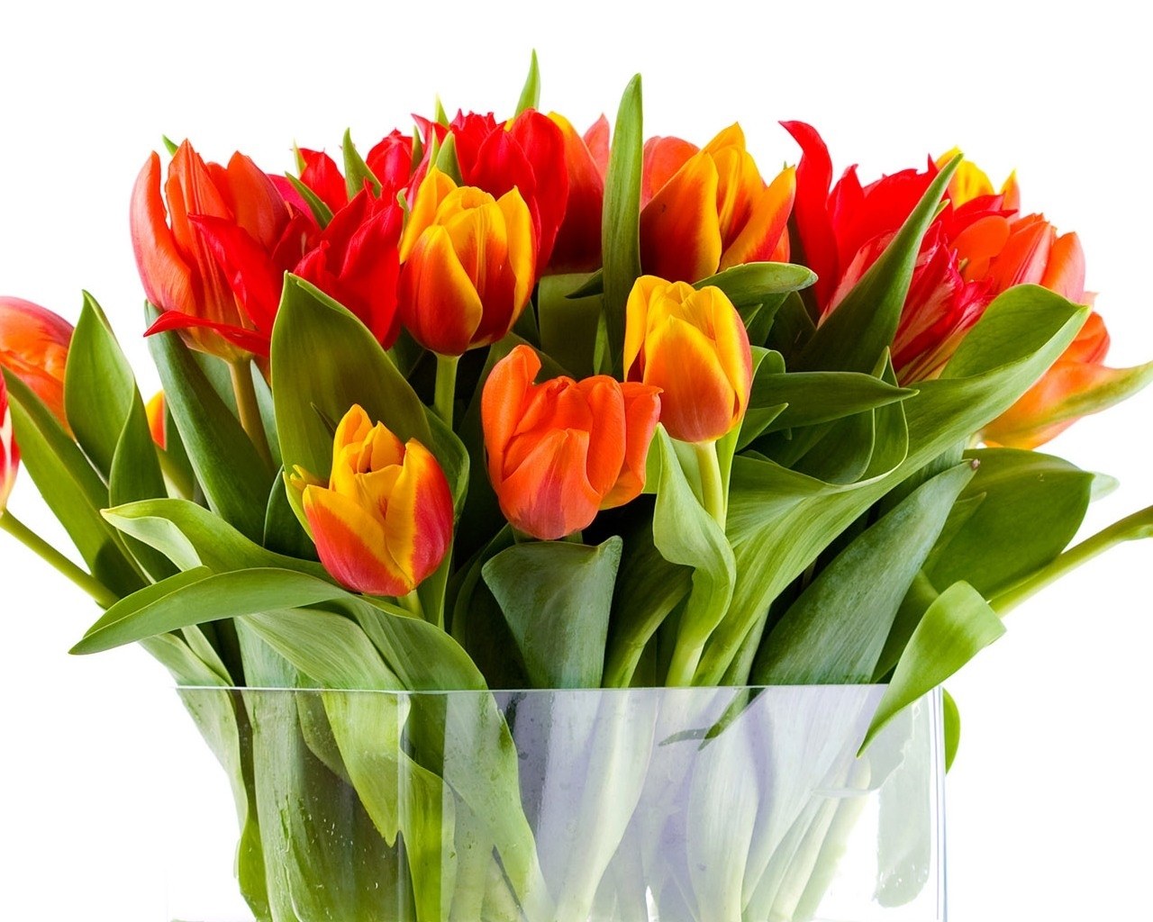 Colorful tulip bouquet