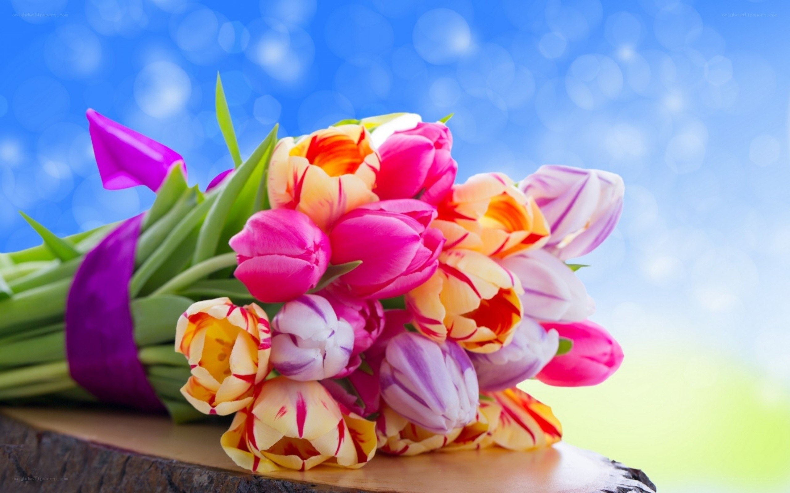 Colorful tulip bouquet