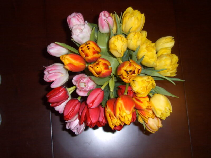 Colorful tulip bouquet
