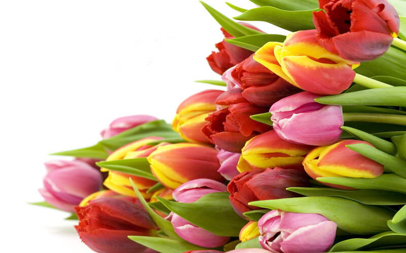 Colorful tulip bouquet