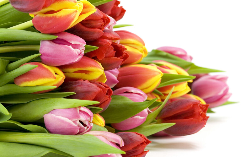 Colorful tulip bouquet