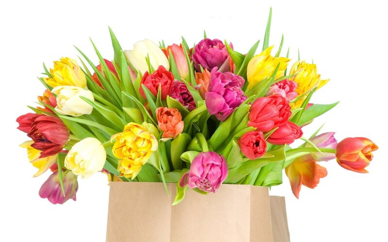 colorful tulip bouquet