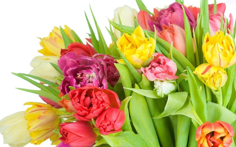 colorful tulip bouquet