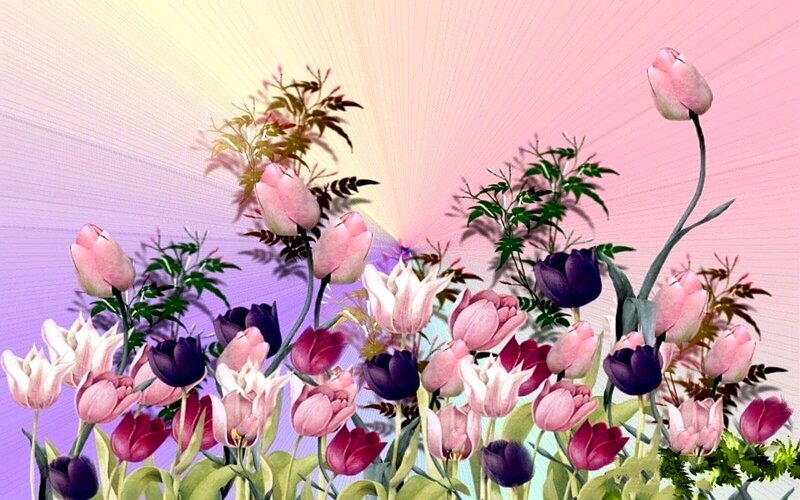 Colorful tulip bouquet