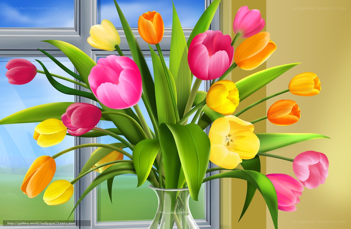 Colorful tulip bouquet by window