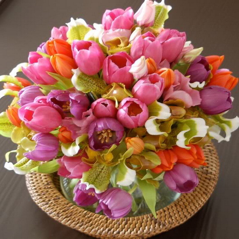 Colorful Tulip Bouquet — Pink, Bright, Photograph, Flowers