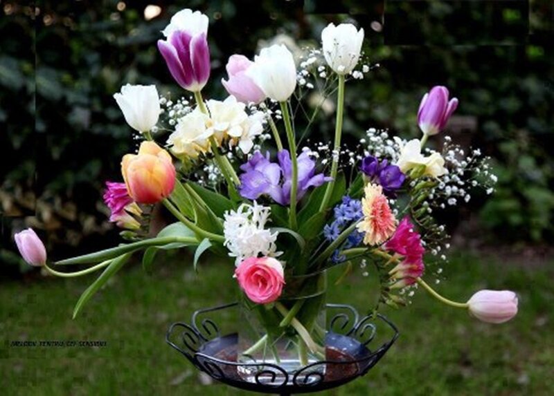 Colorful Tulip Bouquet — Pink, Serene