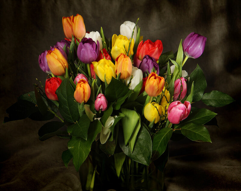 Colorful Tulip Bouquet — Purple, Dramatic