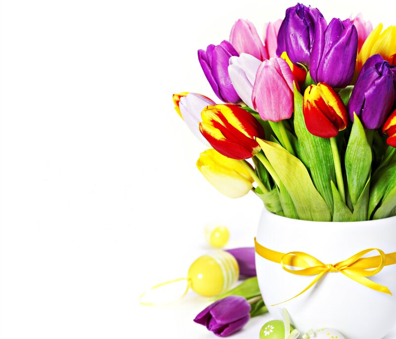 Colorful Tulip Bouquet — Purple, Festive