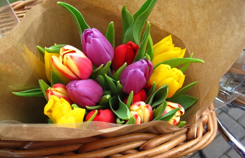 Colorful Tulip Bouquet — Purple