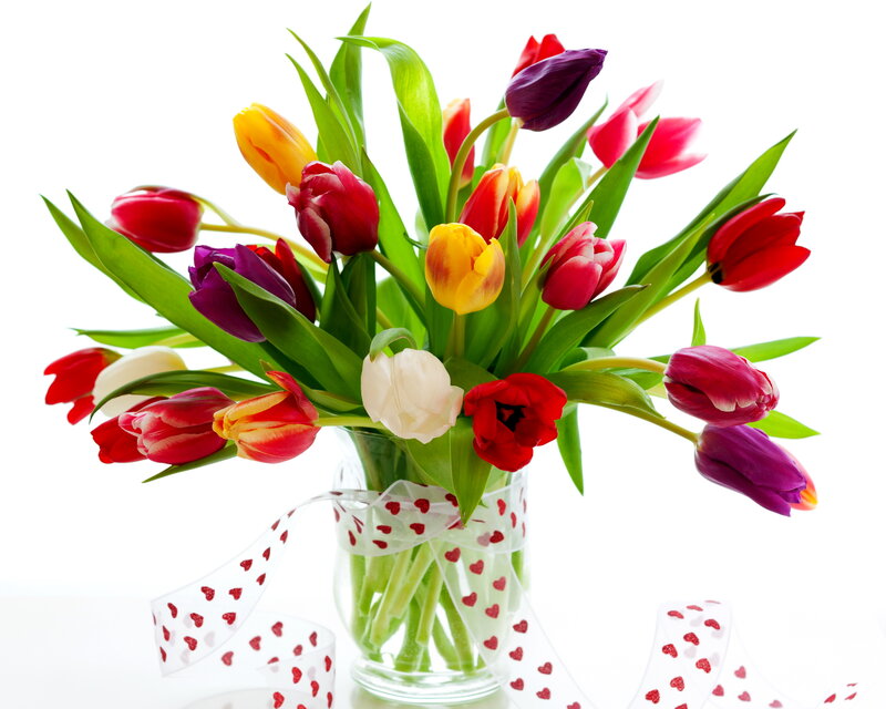 Colorful Tulip Bouquet — Red, Bright, Photograph