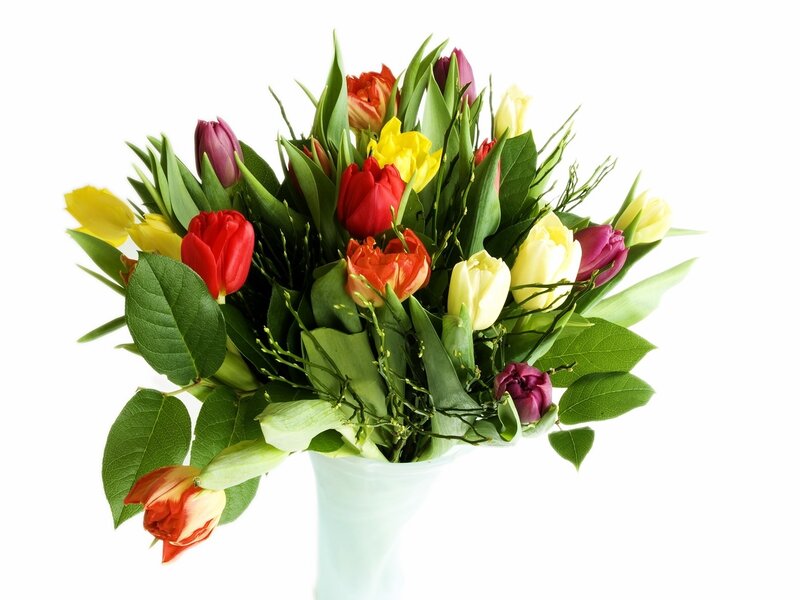 Colorful Tulip Bouquet — Red, Bright, Photograph, Vase