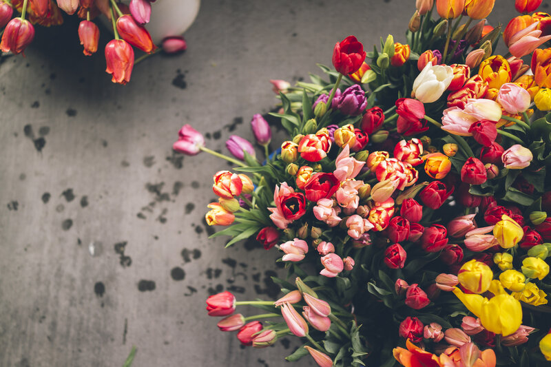 Colorful Tulip Bouquet — Red, Calm