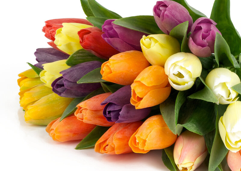 Colorful Tulip Bouquet — Yellow, Vibrant, Photograph