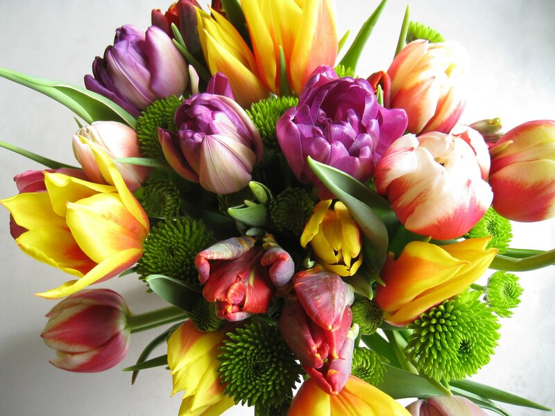 Colorful Tulip Bouquet — Yellow, Vibrant, Spring, Photograph, Green Chrysanthemums