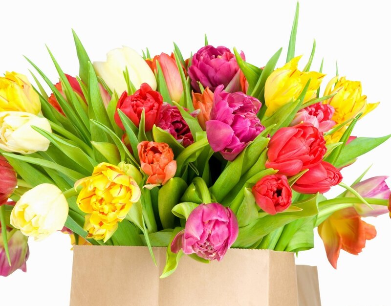 Colorful Tulip Bouquet — Yellow, Vibrant, Spring