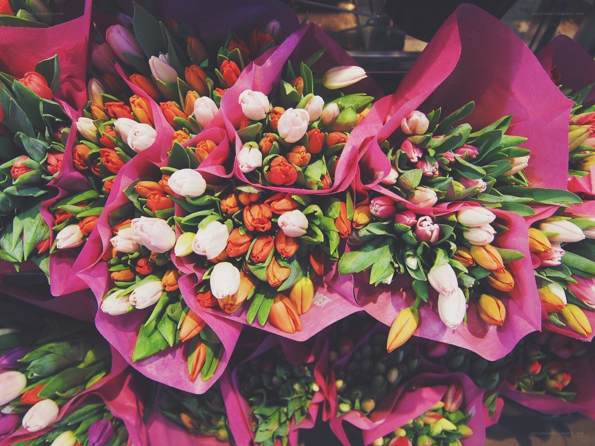 Colorful tulip bouquets