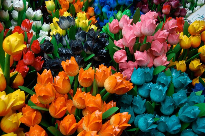 Colorful Tulip Display — Orange