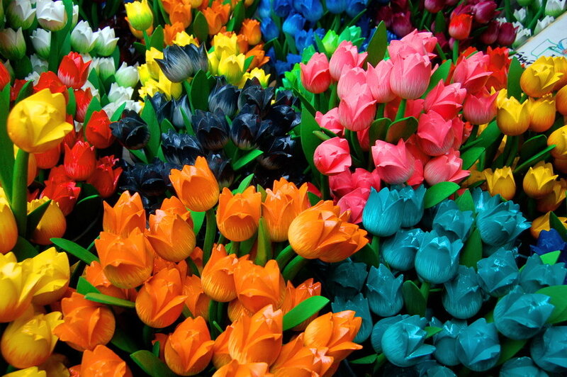 Colorful Tulip Display — Yellow, Vibrant