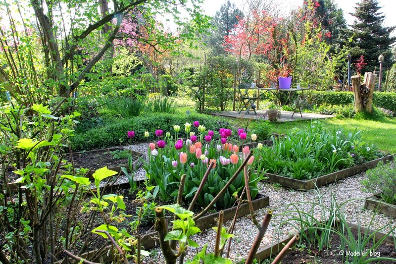 Colorful Tulip Garden — Green, Serene