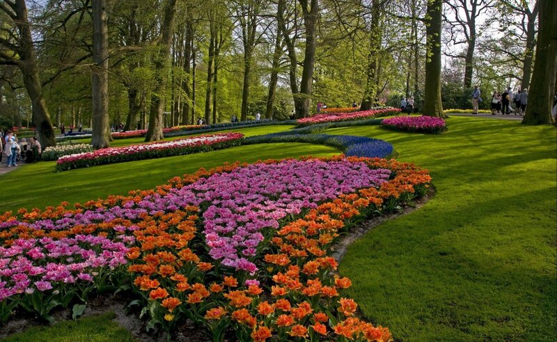 Colorful tulip garden in park