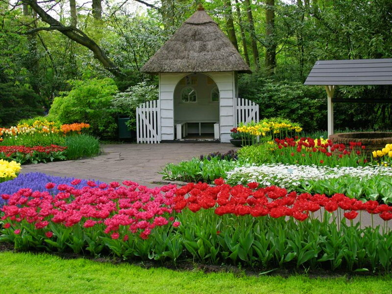 Colorful Tulip Garden — Red, Serene, Spring, Photograph, Thatched Gazebo