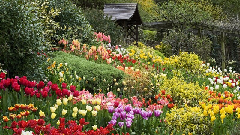 Colorful tulip garden with gazebo