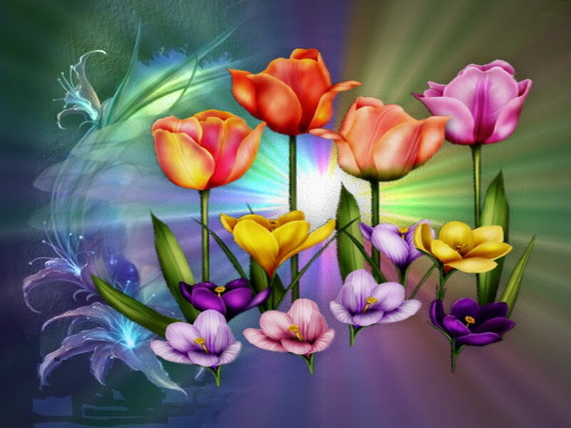 Colorful Tulips and Crocuses
