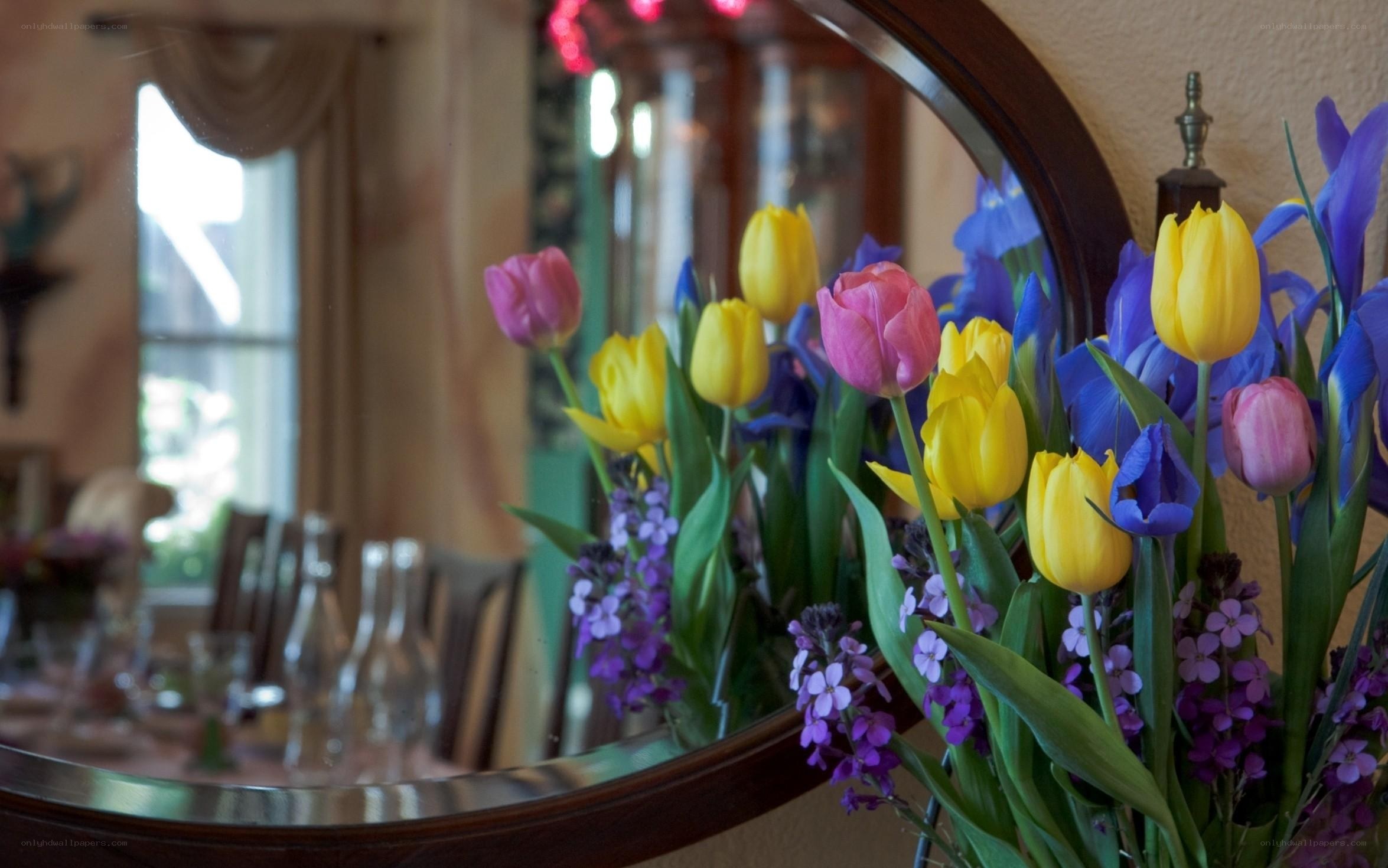 Colorful tulips in a mirror reflection