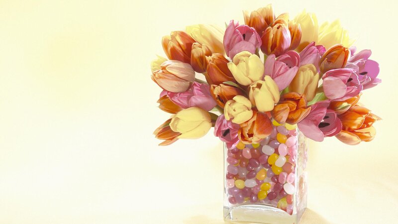 Colorful tulips in a vase