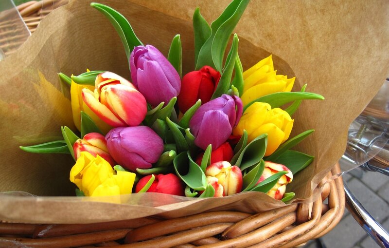 Colorful Tulips in Basket — Purple, Bright, Spring