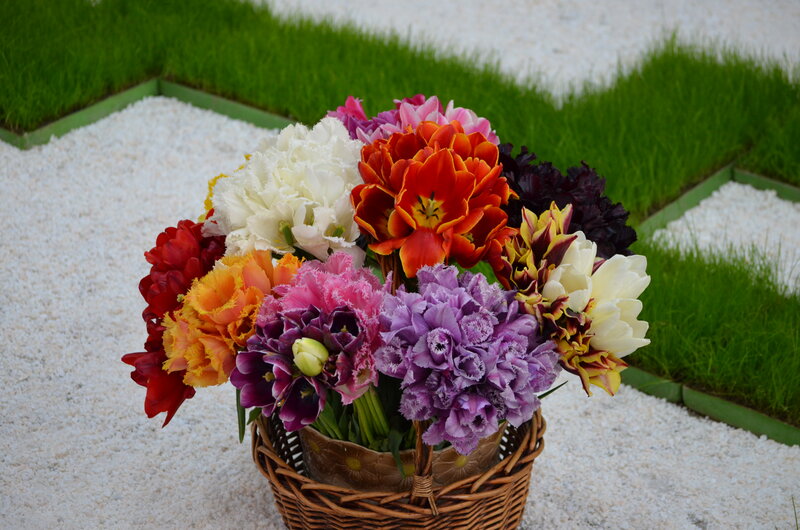 Colorful Tulips in Basket — Purple, Serene