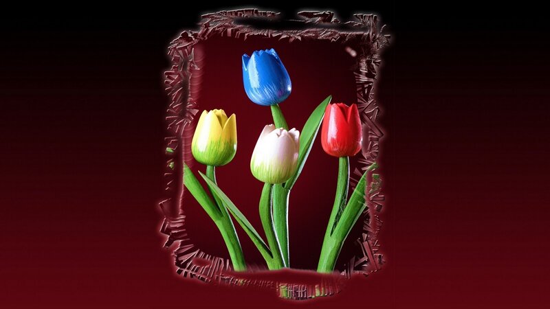 Colorful Tulips in Frame