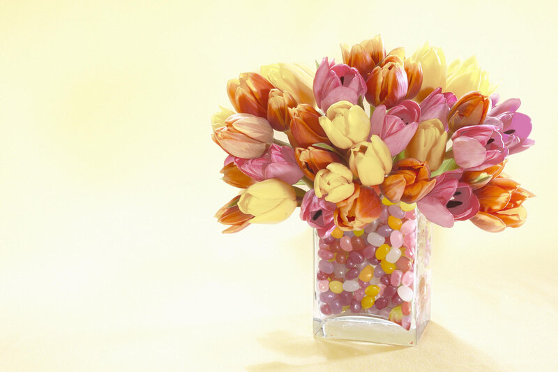 Colorful tulips in glass vase